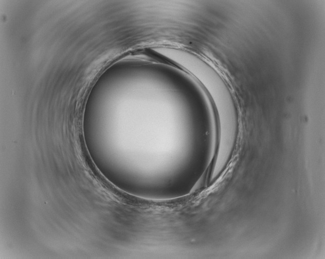 X0000088750193200706141737