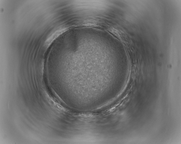 X0000088750194200706141737