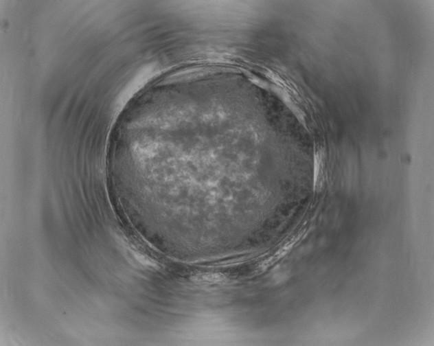 X0000088750195200706141737