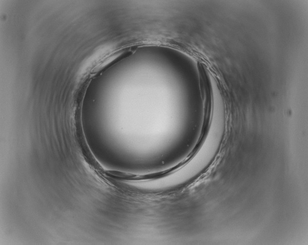 X0000088750197200706141736