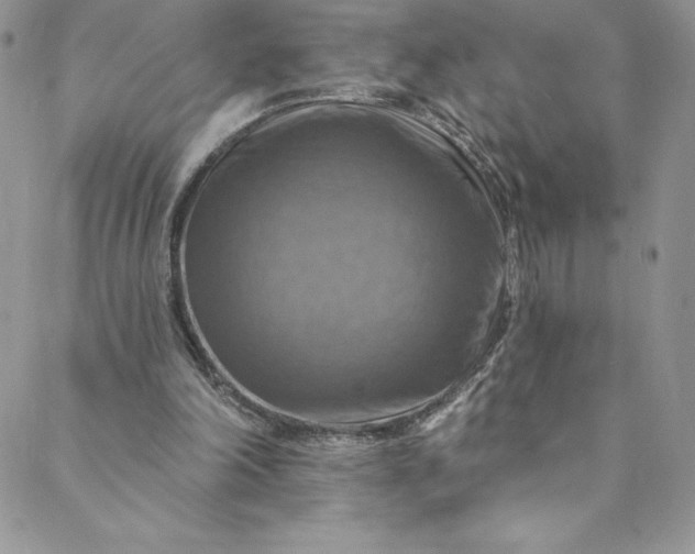 X0000088750198200706141736