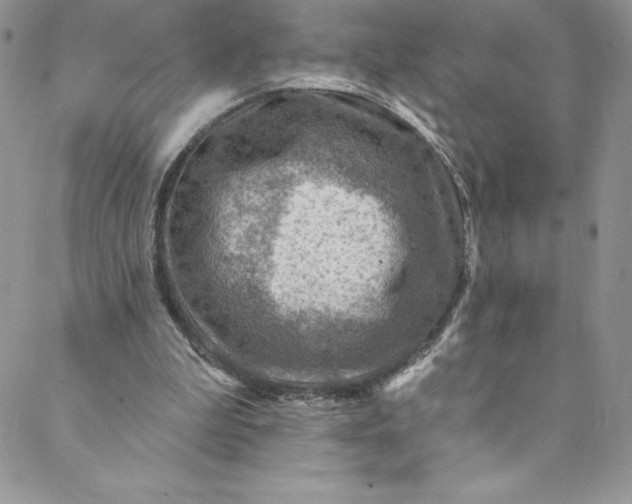 X0000088750199200706141736