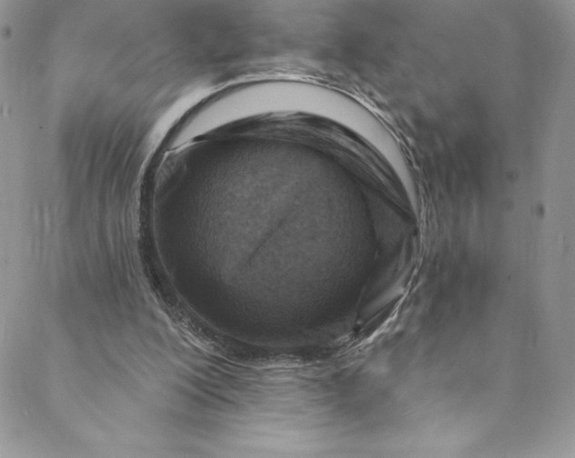 X0000088750200200706141736