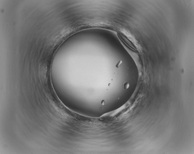 X0000088750201200706141736