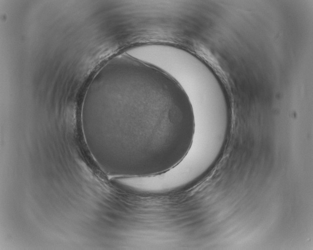 X0000088750202200706141736