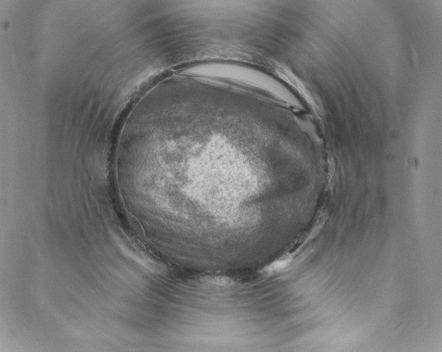 X0000088750203200706141736