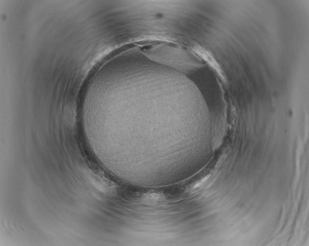 X0000088750204200706141736