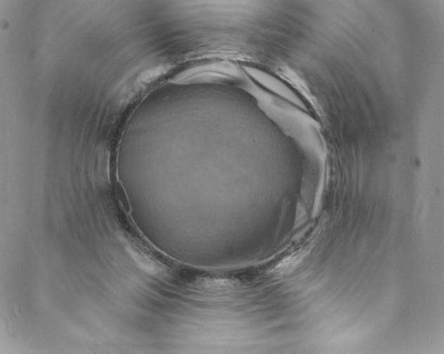 X0000088750205200706141736