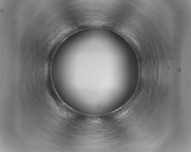 X0000088750206200706141736