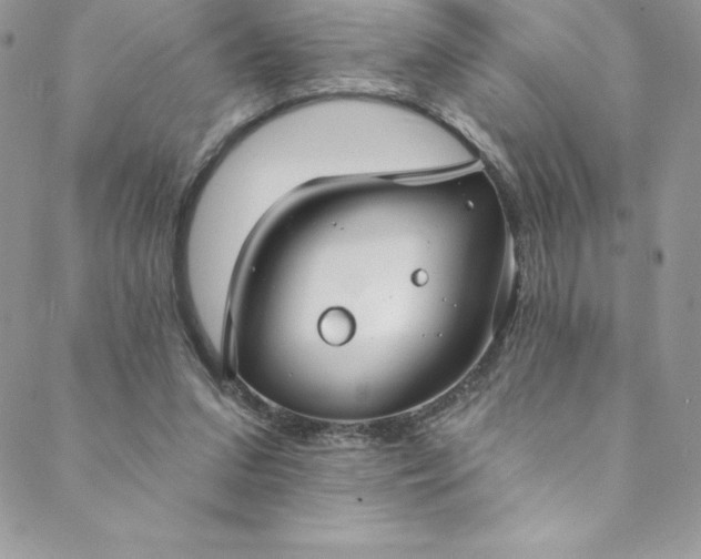 X0000088750207200706141736