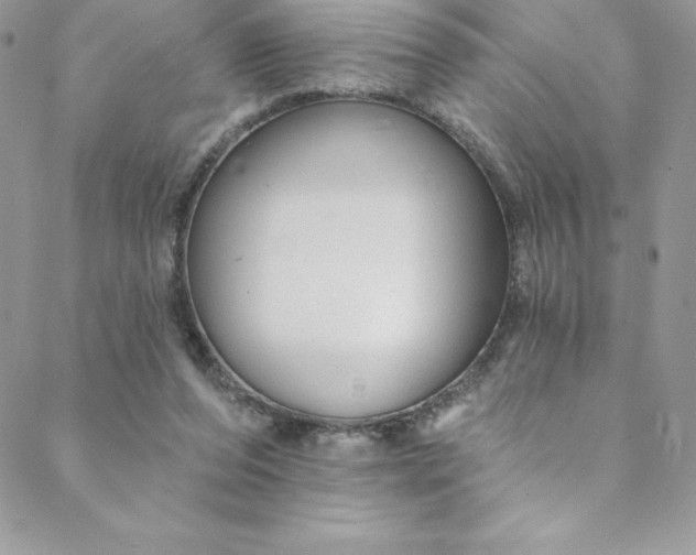 X0000088750208200706141736