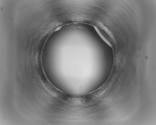 X0000088750209200706141736