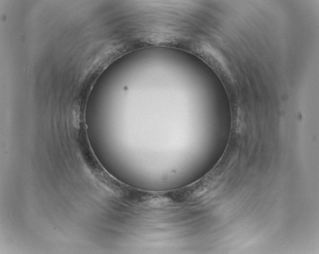 X0000088750210200706141736