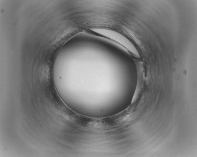 X0000088750211200706141736