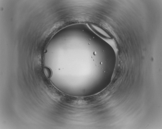 X0000088750212200706141736