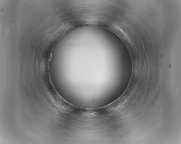 X0000088750213200706141736