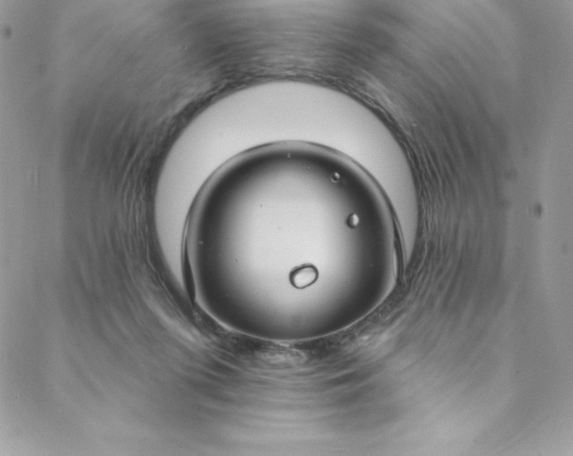 X0000088750215200706141736