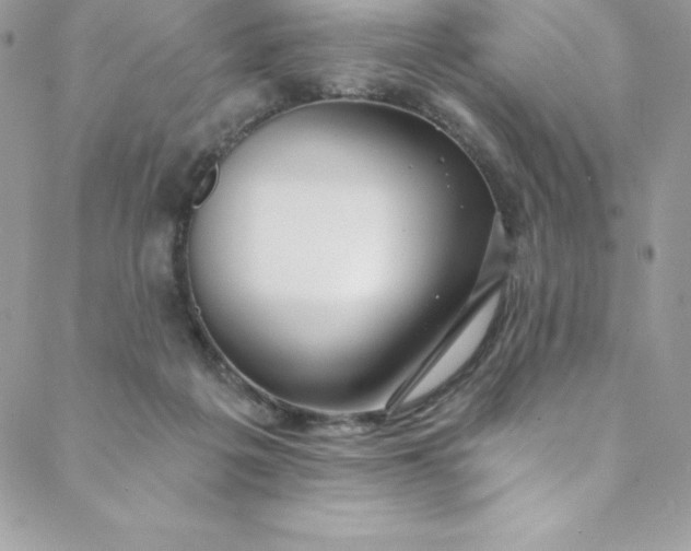 X0000088750217200706141736