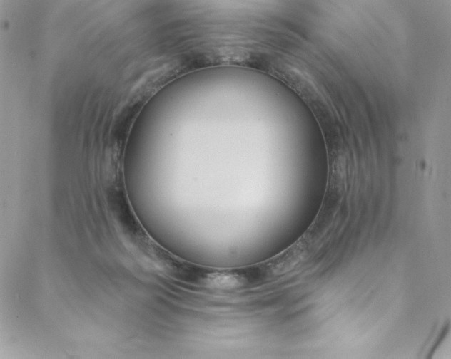 X0000088750218200706141736