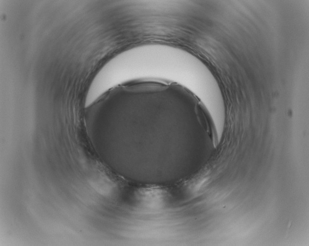 X0000088750219200706141736