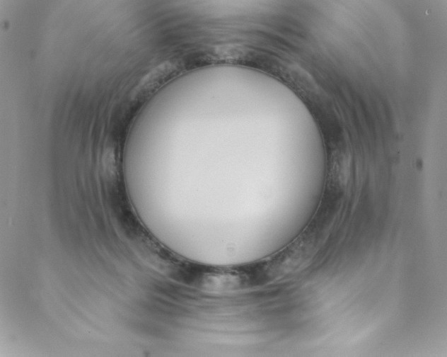 X0000088750220200706141736