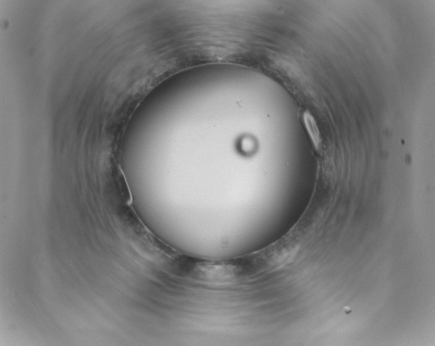 X0000088750221200706141736