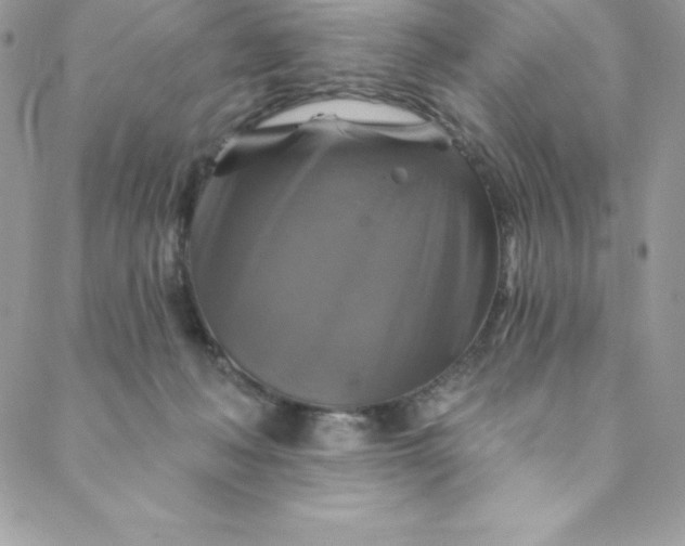 X0000088750222200706141736