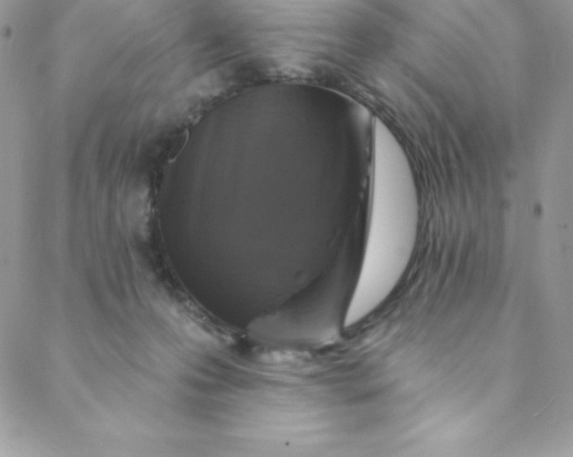 X0000088750223200706141736