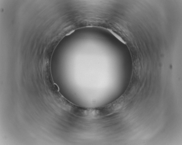 X0000088750225200706141736