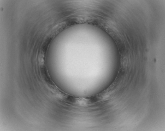 X0000088750226200706141736