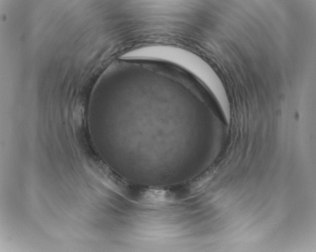 X0000088750227200706141736