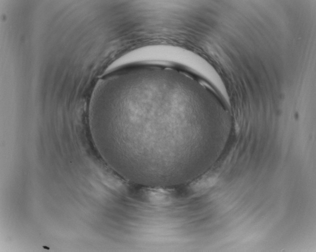 X0000088750229200706141736