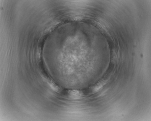 X0000088750230200706141736