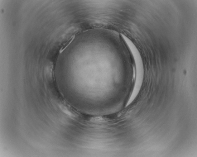 X0000088750231200706141736