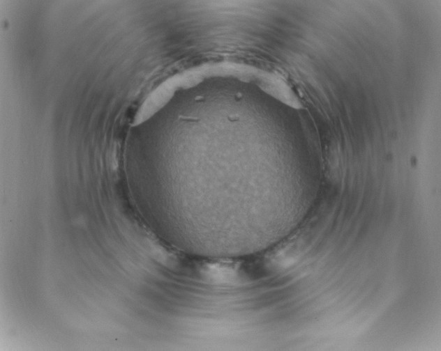 X0000088750232200706141736