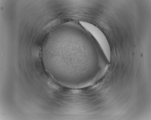 X0000088750233200706141736