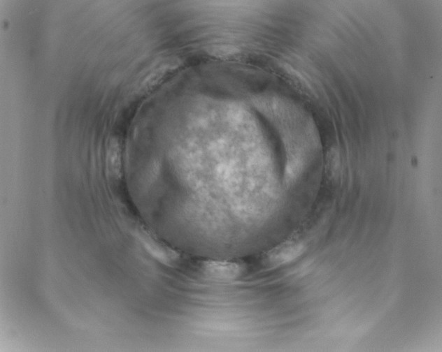 X0000088750234200706141736