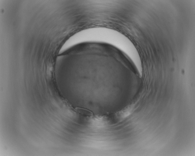 X0000088750235200706141736