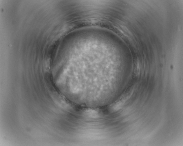 X0000088750236200706141736