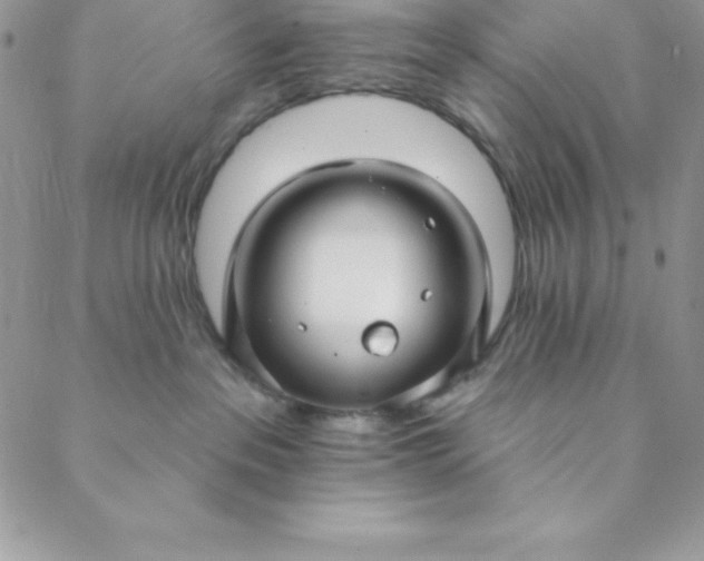 X0000088750237200706141736