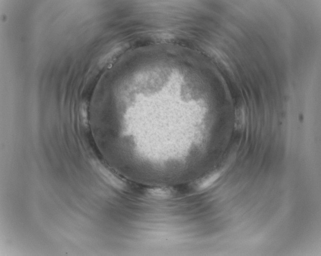 X0000088750238200706141736