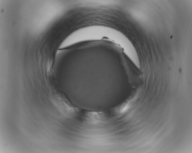 X0000088750239200706141736