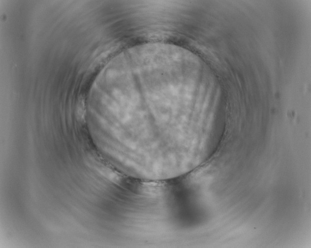 X0000088750240200706141736