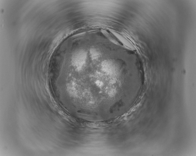 X0000088750241200706141735