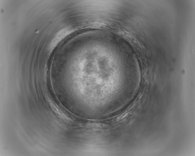 X0000088750242200706141735