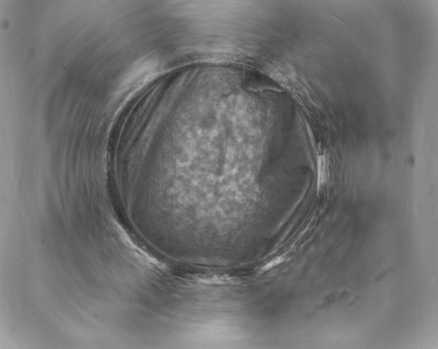 X0000088750243200706141735