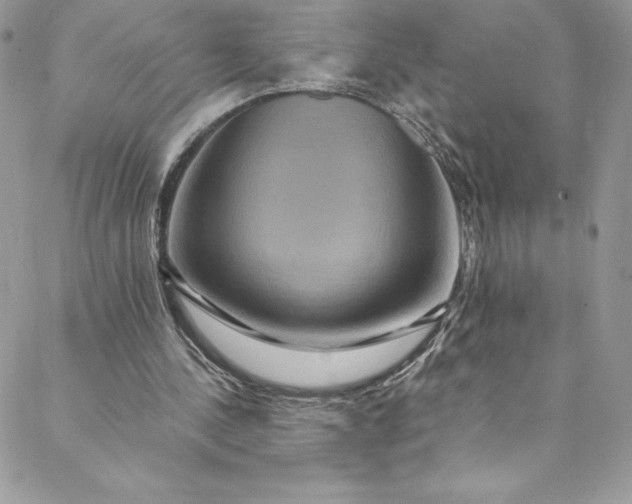 X0000088750244200706141735