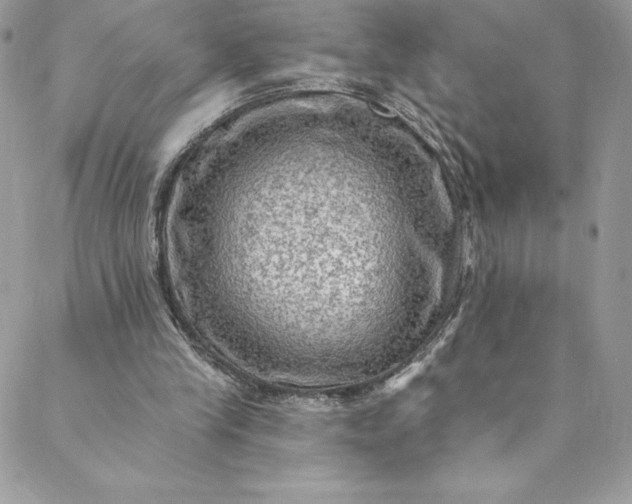 X0000088750245200706141735