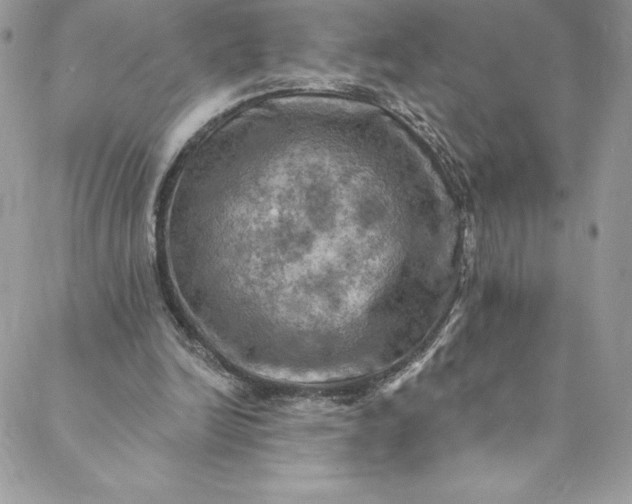 X0000088750246200706141735