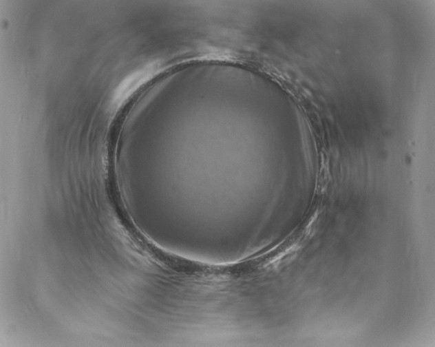 X0000088750247200706141735